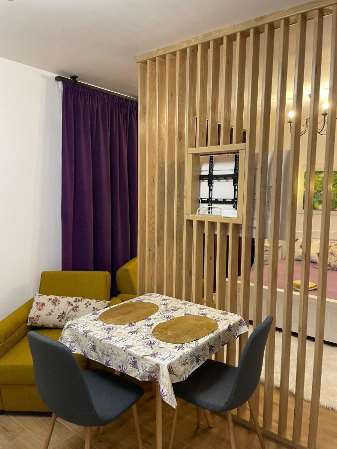 Apartament Gabriela 39 Baia Mare Bagian luar foto