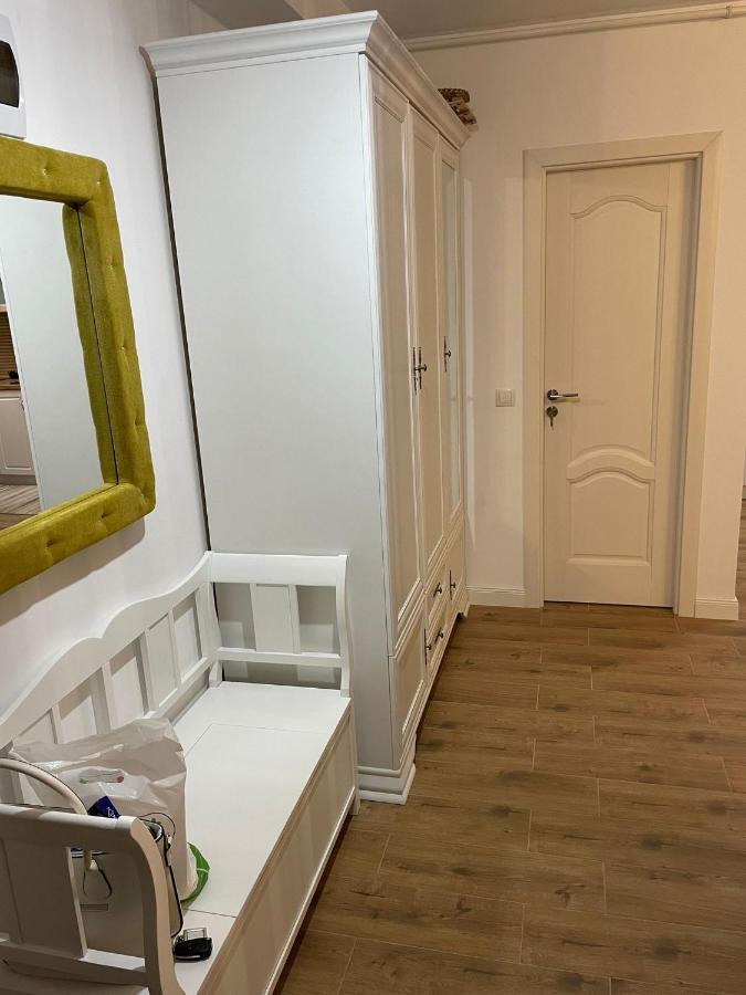 Apartament Gabriela 39 Baia Mare Bagian luar foto