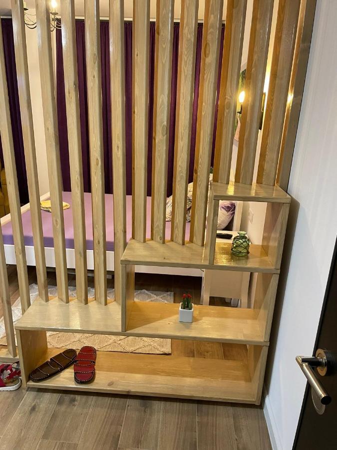 Apartament Gabriela 39 Baia Mare Bagian luar foto