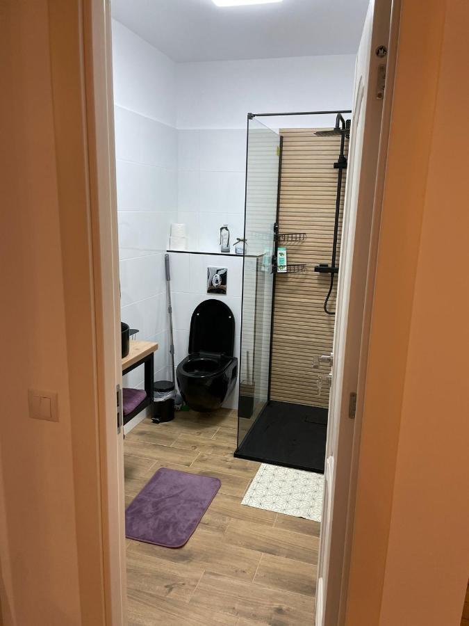 Apartament Gabriela 39 Baia Mare Bagian luar foto