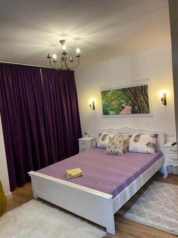 Apartament Gabriela 39 Baia Mare Bagian luar foto
