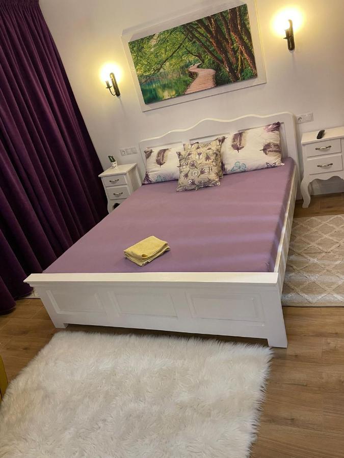 Apartament Gabriela 39 Baia Mare Bagian luar foto