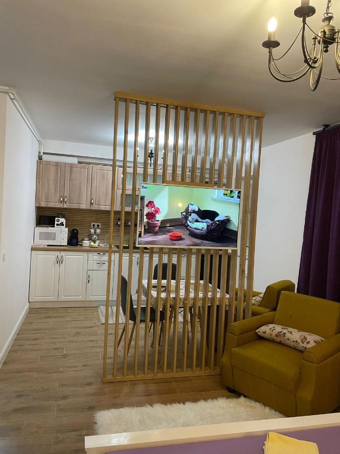 Apartament Gabriela 39 Baia Mare Bagian luar foto