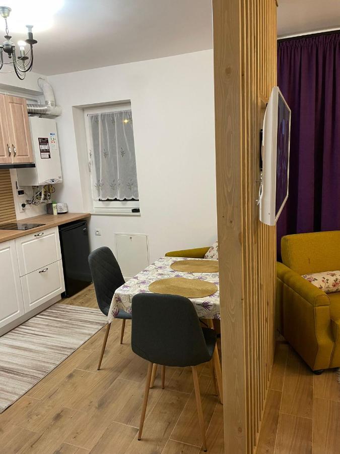 Apartament Gabriela 39 Baia Mare Bagian luar foto