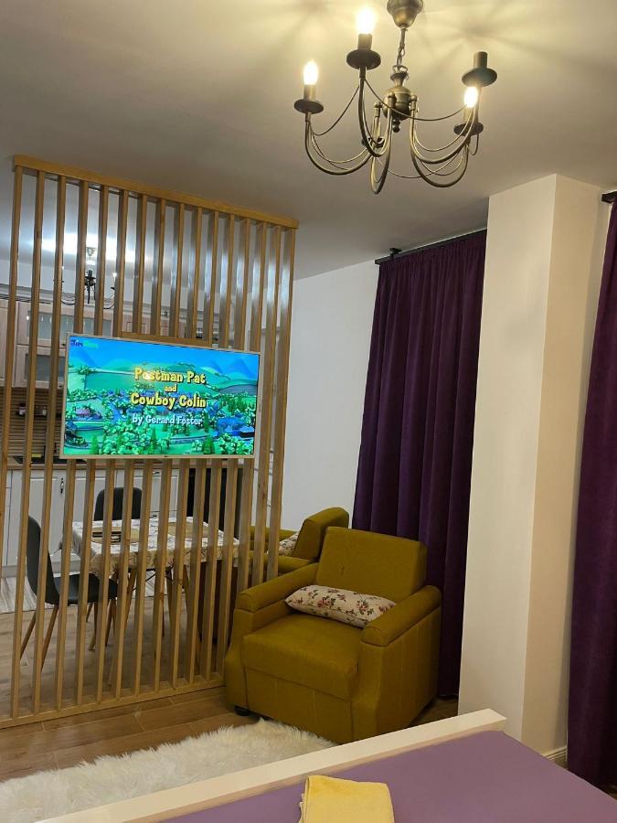 Apartament Gabriela 39 Baia Mare Bagian luar foto