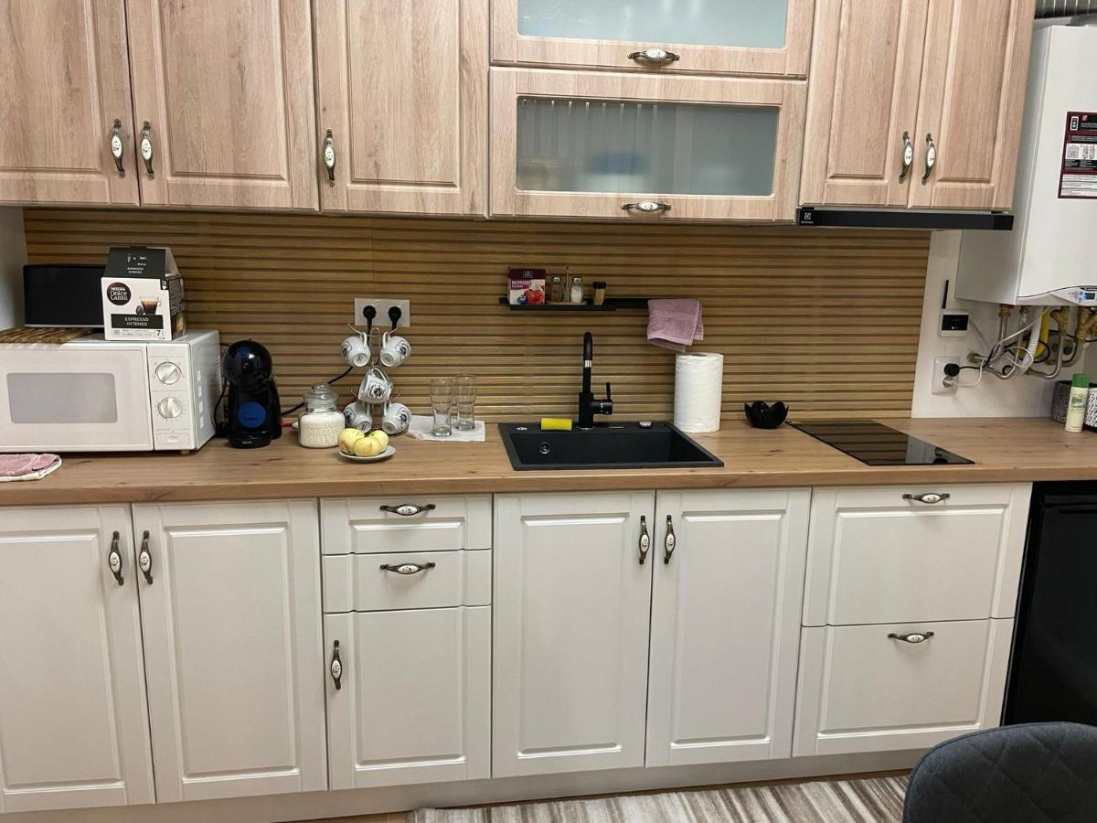 Apartament Gabriela 39 Baia Mare Bagian luar foto