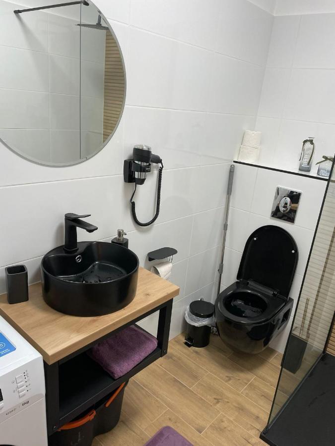 Apartament Gabriela 39 Baia Mare Bagian luar foto