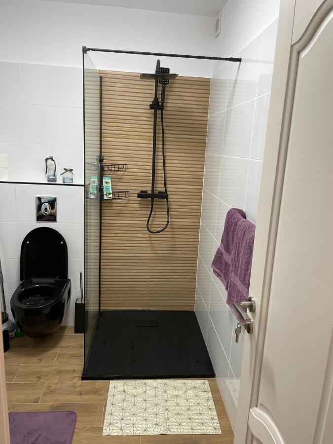 Apartament Gabriela 39 Baia Mare Bagian luar foto
